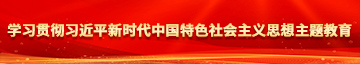 男的阴茎插逼视频学习贯彻习近平新时代中国特色社会主义思想主题教育